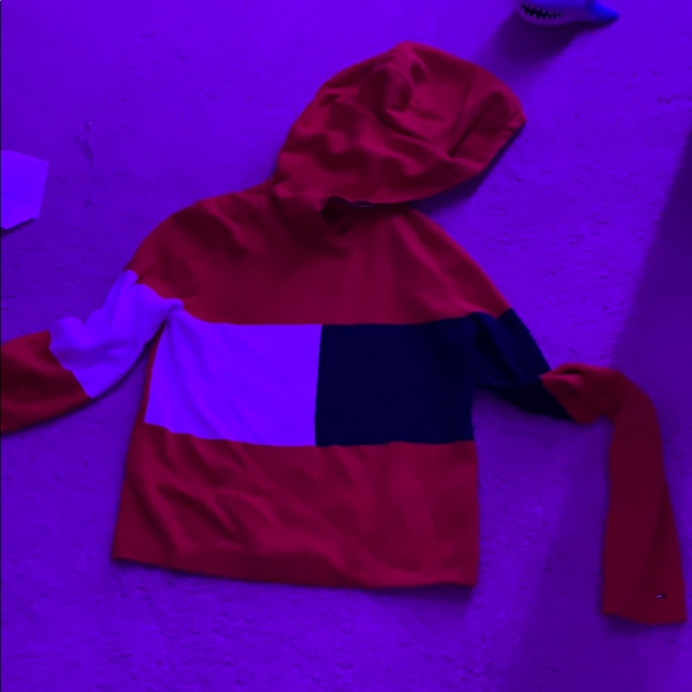 Tommy Hilfiger Hoodie (slightly cropped)